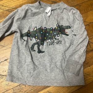 Rabbit Skins‎ Gray Long Sleeve Tee with Dinosaur Graphic